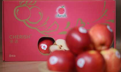 新西兰苹果：GBF亲语苹果发往中国  特别定制节日礼盒
