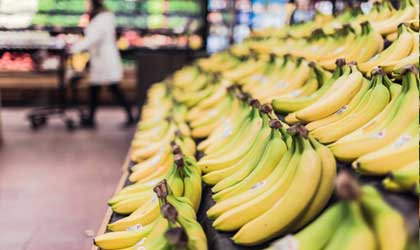 永辉超市香蕉加工中心四川彭州仓正式启用