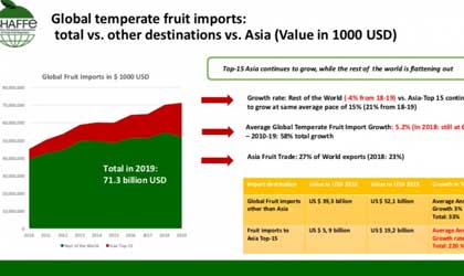 南半球温带水果报告：对亚出口量创纪录  智利维持两位数增长