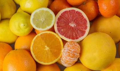 智利柑橘：45家包装厂获得对华出口许可