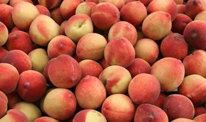 中国核果年度报告：桃类价格疲软种植减少 进口量预计下降10%