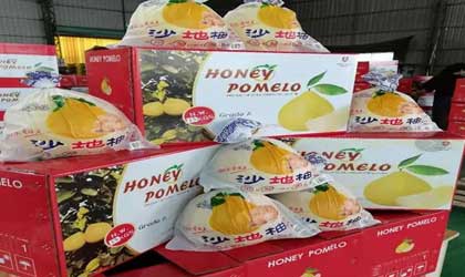 首批中国蜜柚正式出口美国