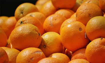 澳洲巨头Costa收购600公顷种植园 进一步扩大柑橘出口业务