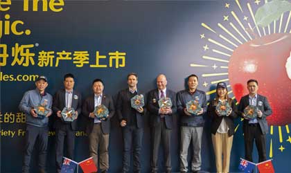 新西兰丹烁苹果2021销售季启动 超7万箱首次大量供应中国市场