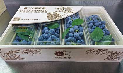 国产蓝莓市场持续走强  鹏升创新串果包装上市