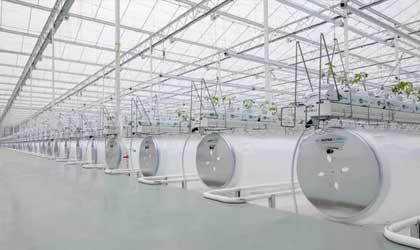荷兰温室制造商库播成立中国分公司