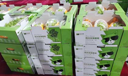 三润新季阳光玫瑰葡萄下周上市 首发小串精品果俘获年轻消费者