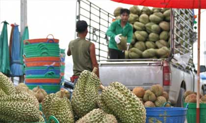 凭祥口岸今日恢复泰国水果通关 暂行两周严格执行“零感染”标准