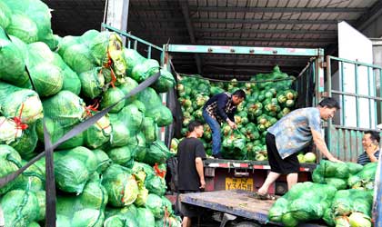 郑州万邦市场:“量足价稳”保障果蔬供应