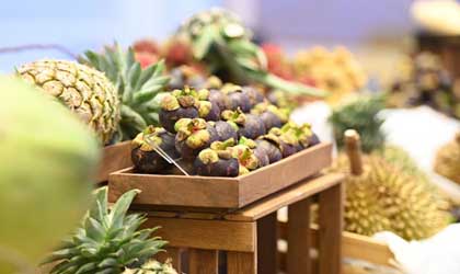 “泰国水果黄金月”营销效果显著  今年出口额有望增长超30%