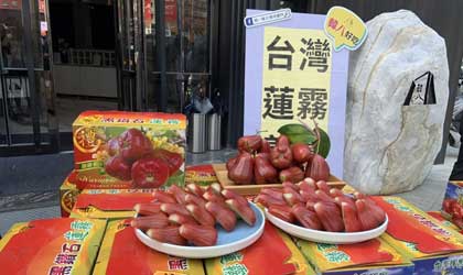 台湾水果:大陆进口份额下滑近50%仍为最大市场