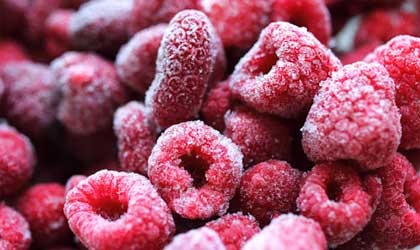 智利与中国签署“冷冻水果协议” 17种智利冷冻水果获准输华