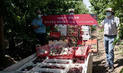 【果业备战节庆销售季】京东生鲜：助力地域性水果品类销售增长
