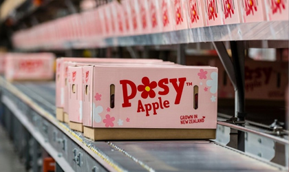 新西兰苹果：早熟品种Posy小花供不应求 新季营销供应战略升级”