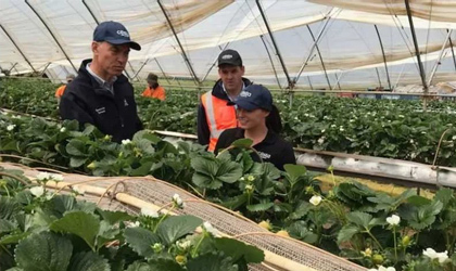 Costa最新财报：国际业务推动收入增长10% 云南保山蓝莓项目今年投产