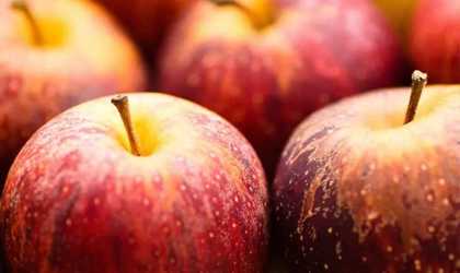 世界苹果和梨协会：2022年南半球苹果和梨产量双双下滑