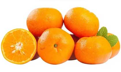 北半球柑橘季：产量高于4年均值 市场复苏出口反弹