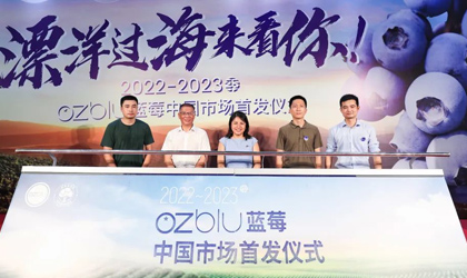 2022/23新季首柜OZblu蓝莓登陆上海