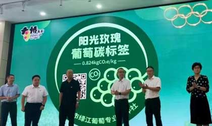 嘉兴阳光玫瑰葡萄启用全国水果行业首枚碳标签