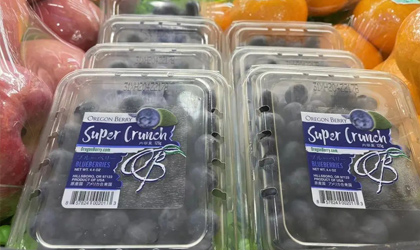 【推广】新季首批美国蓝莓新鲜上市 蜜桃味新品种中国首发