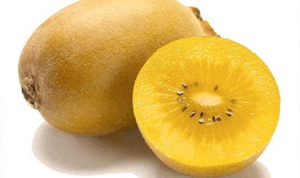 新西兰奇异果季开始 阳光金果产量预计达6200万托盘