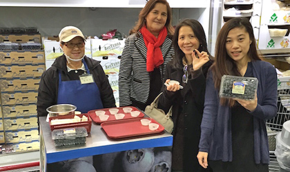 台湾首次推广智利蓝莓 进口量增长24%