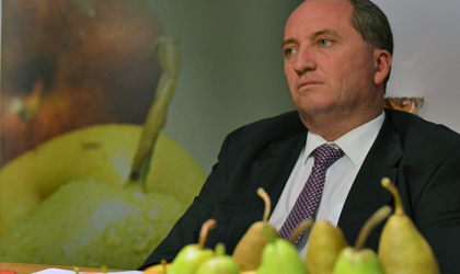 澳政府允许出口商自行检疫出口果蔬 受益果园出口量增长150%