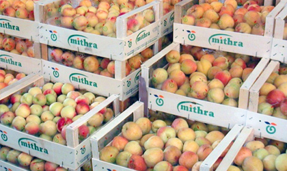 中国获准进口水果名录更新 美西菲三国准入品类名单变更