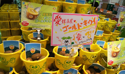 日本统计局：2016上半年水果消费继续下滑 猕猴桃渐成新宠
