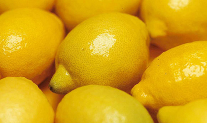 西班牙柠檬本季增产20%、葡萄柚减产