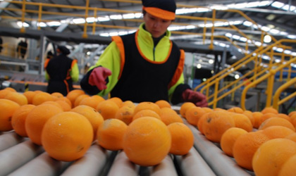 澳洲柑橘本年度出口2.32亿澳元打破纪录 中国为最大市场