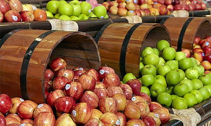 中国市场苹果、梨、葡萄进口量大幅增长