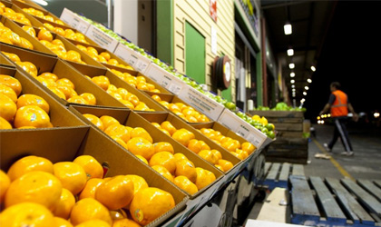 南澳州果蔬批发市场更名   着重发展出口业务
