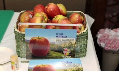中国网售最佳美国水果：西北樱桃、华盛顿苹果