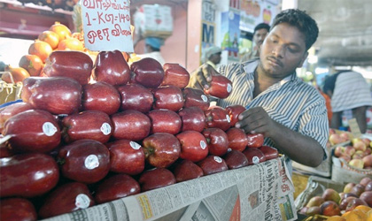 印度新政策限制进境苹果