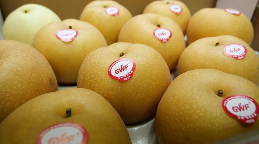 长城果品：鲜梨出口未受疫情影响 关注东南亚新兴市场