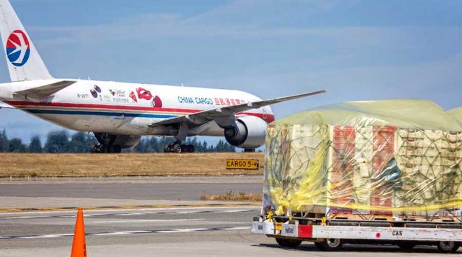 智利樱桃：季初出口同比增长200%  航空货运量预计增长24%