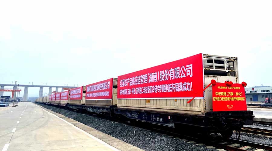 全国首趟中老铁路老挝香蕉冷链专列昨日抵达长沙
