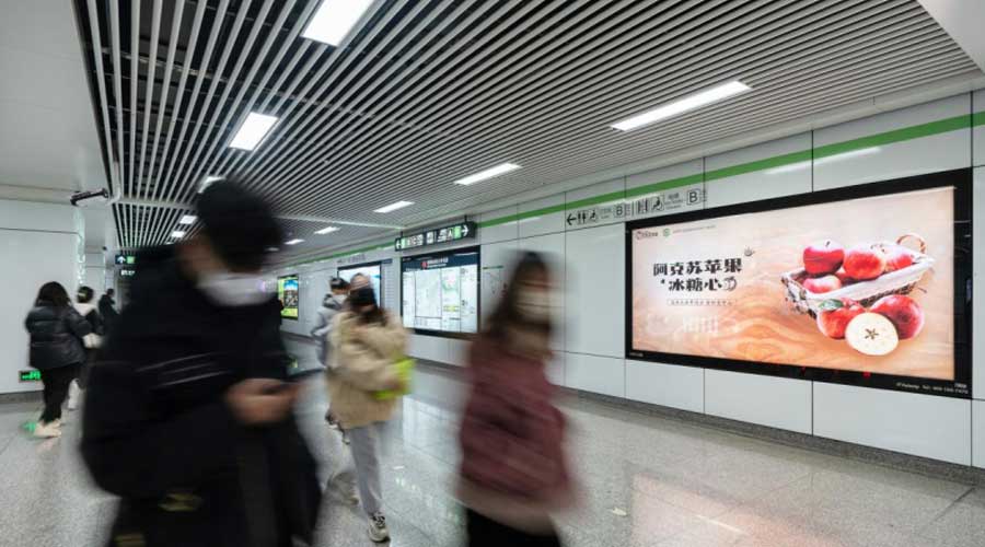 阿克苏苹果发布全新品牌设计   杭州成战略布局“新支点”