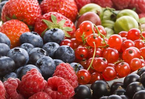 Hortifrut上半年财报：中国蓝莓产销量增加拉动总收入增长