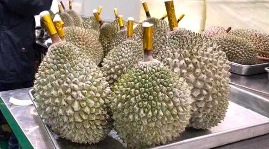 泰国榴莲：Queen Frozen Fruit与中国公司签署100亿泰铢订单