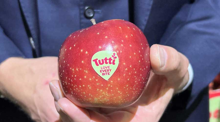 Tutti：全球首个耐高温气候苹果品牌商业发布
