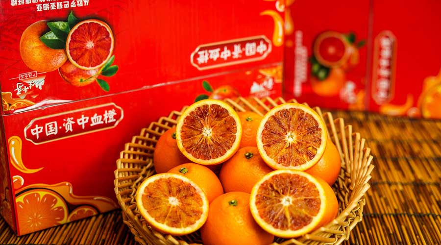 新发地打造资中柑橘分选中心提升产业标准