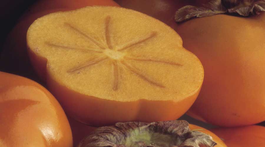 海关发布西班牙甜柿检疫要求 即日起允许进口