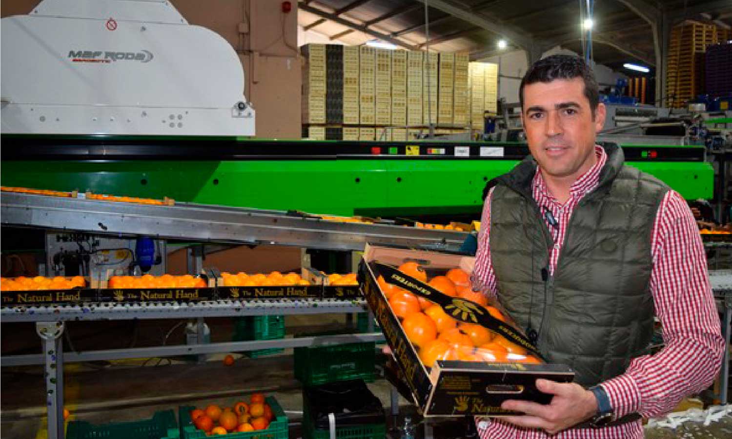 西班牙甜柿：中国市场开放带来机遇  行业着力攻克运输挑战