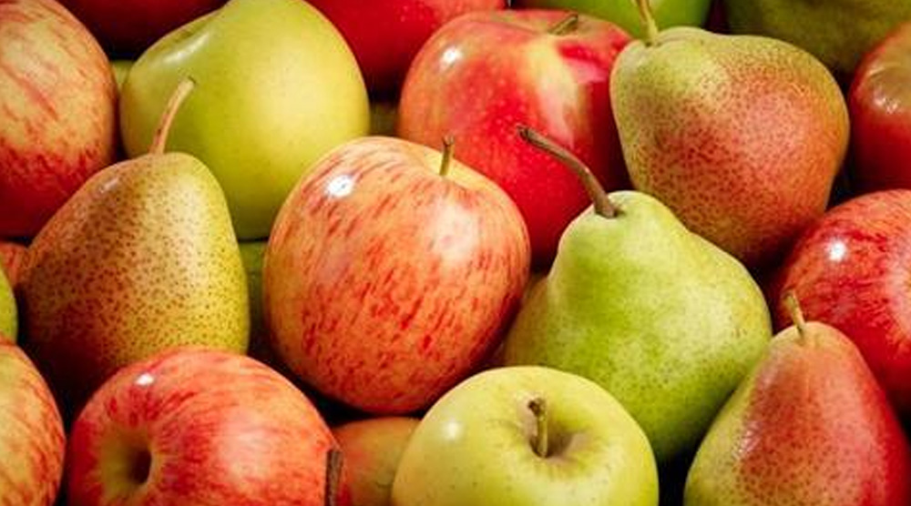 南非苹果和梨：天气影响产量显著下滑  苹果对华出口逆势增长