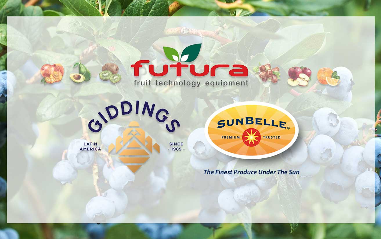 Frutura收购Giddings及Sun Belle所有资产  智利樱桃浆果全年供应能力提升