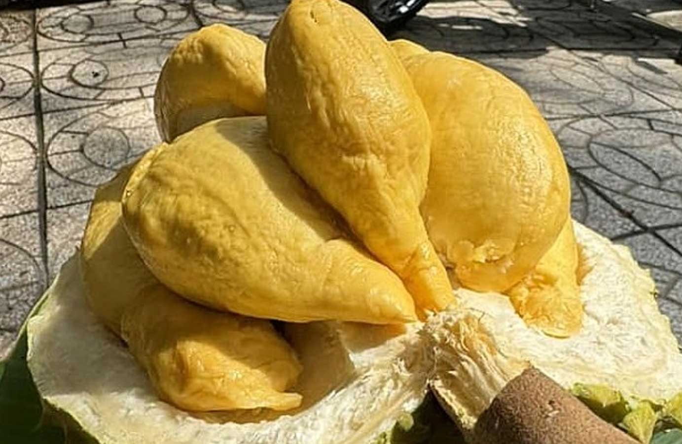 越南金枕榴莲淡季价格飙升50%  中国春节市场榴莲需求旺盛