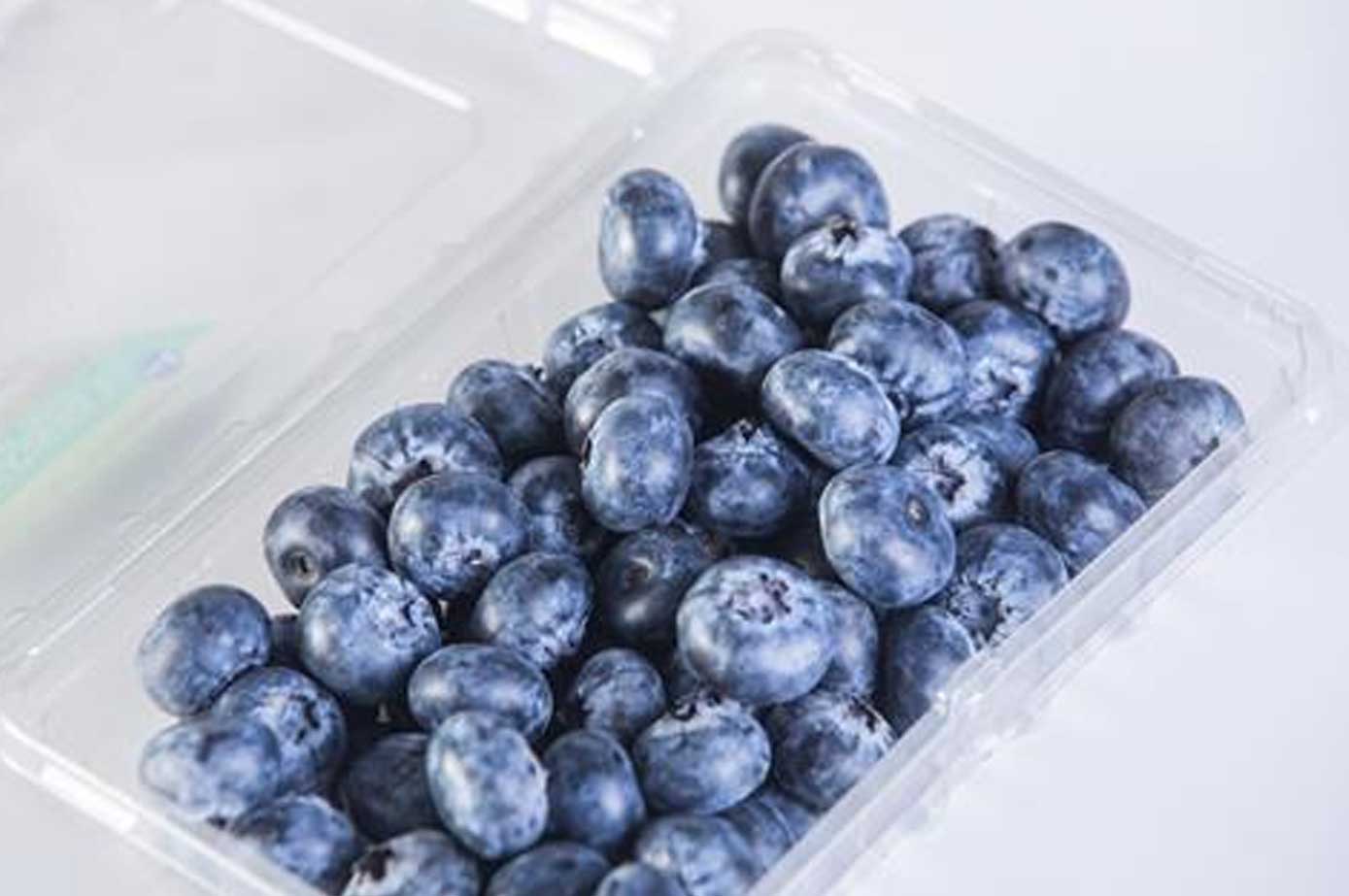 秘鲁蓝莓两大新品种发布  极端气候耐受保质期长