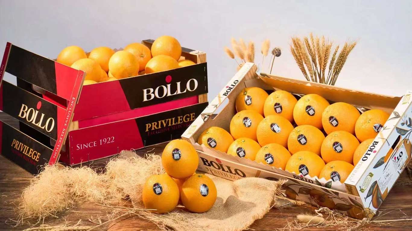 西班牙柑橘：新季宝露橙登陆中国  首柜极速售罄